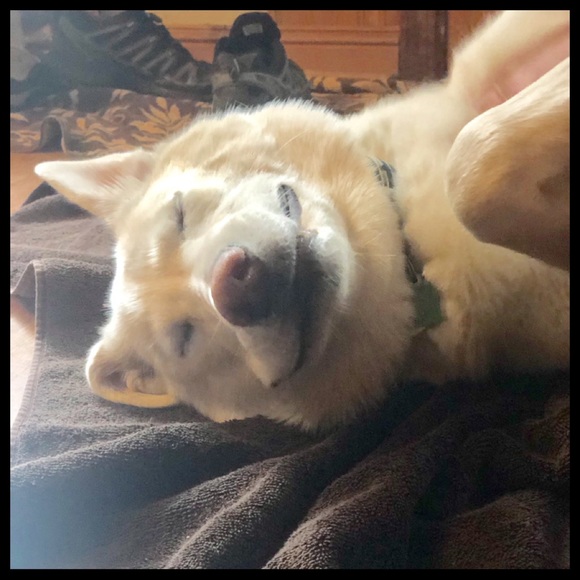 ๐ชถMEET THE POSHER-Thanks for stopping by! Please reach out with any questions! - Picture 3 of 16